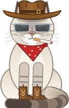 Le chat en tenue de cowboy